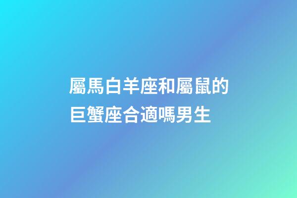 屬馬白羊座和屬鼠的巨蟹座合適嗎男生-第1張-星座運勢-玄機派