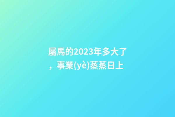 屬馬的2023年多大了，事業(yè)蒸蒸日上-第1張-觀點-玄機派