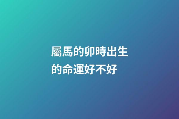 屬馬的卯時出生的命運好不好