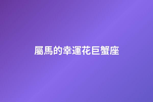 屬馬的幸運花巨蟹座-第1張-星座運勢-玄機派