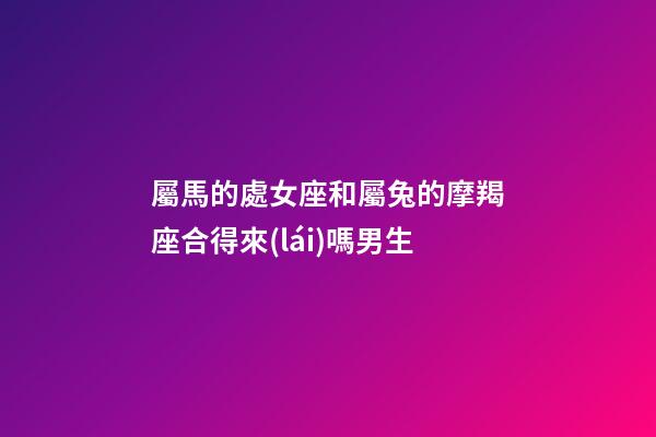 屬馬的處女座和屬兔的摩羯座合得來(lái)嗎男生-第1張-星座運(yùn)勢(shì)-玄機(jī)派