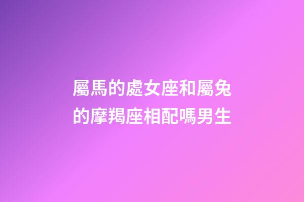 屬馬的處女座和屬兔的摩羯座相配嗎男生-第1張-星座運(yùn)勢-玄機(jī)派