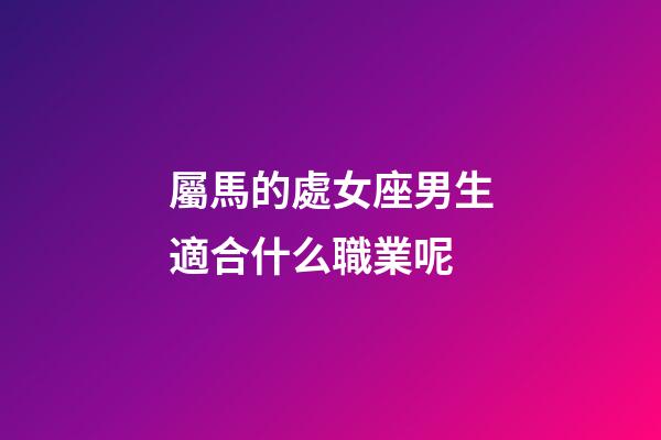 屬馬的處女座男生適合什么職業呢-第1張-星座運勢-玄機派