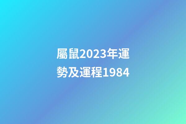 屬鼠2023年運勢及運程1984