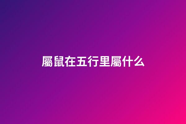 屬鼠在五行里屬什么