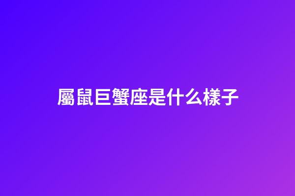 屬鼠巨蟹座是什么樣子-第1張-星座運勢-玄機派