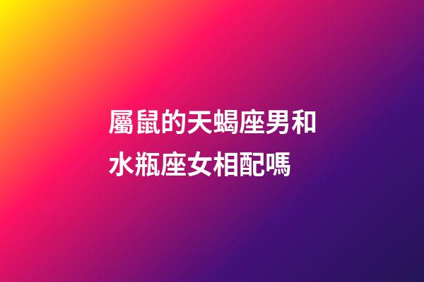 屬鼠的天蝎座男和水瓶座女相配嗎-第1張-星座運勢-玄機派