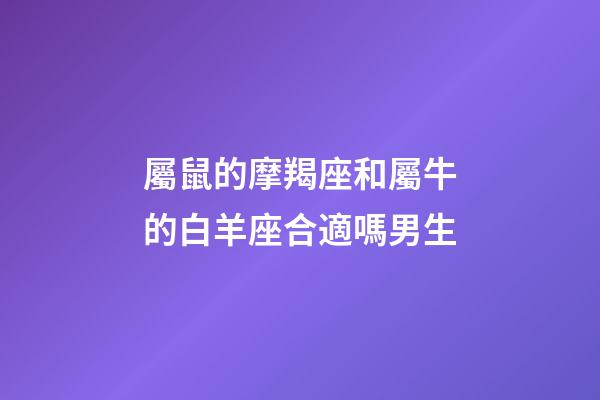 屬鼠的摩羯座和屬牛的白羊座合適嗎男生-第1張-星座運勢-玄機派