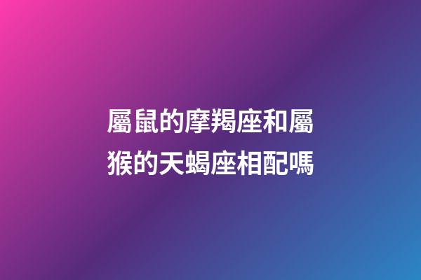 屬鼠的摩羯座和屬猴的天蝎座相配嗎-第1張-星座運勢-玄機派