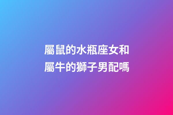 屬鼠的水瓶座女和屬牛的獅子男配嗎-第1張-星座運勢-玄機派