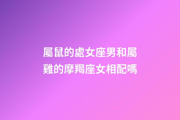 屬鼠的處女座男和屬雞的摩羯座女相配嗎-第1張-星座運勢-玄機派