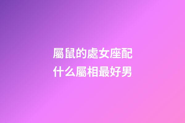 屬鼠的處女座配什么屬相最好男-第1張-星座運勢-玄機派