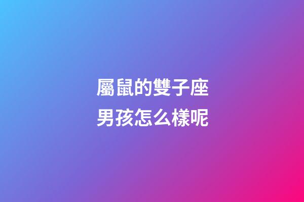屬鼠的雙子座男孩怎么樣呢-第1張-星座運勢-玄機派