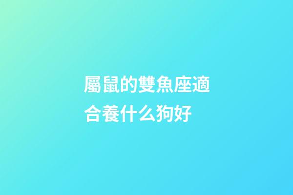 屬鼠的雙魚座適合養什么狗好-第1張-星座運勢-玄機派