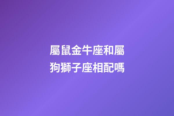 屬鼠金牛座和屬狗獅子座相配嗎-第1張-星座運勢-玄機派