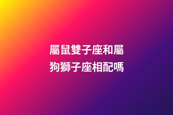 屬鼠雙子座和屬狗獅子座相配嗎-第1張-星座運勢-玄機派