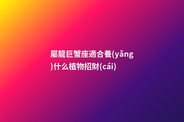 屬龍巨蟹座適合養(yǎng)什么植物招財(cái)-第1張-星座運(yùn)勢-玄機(jī)派