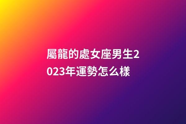 屬龍的處女座男生2023年運勢怎么樣-第1張-星座運勢-玄機派