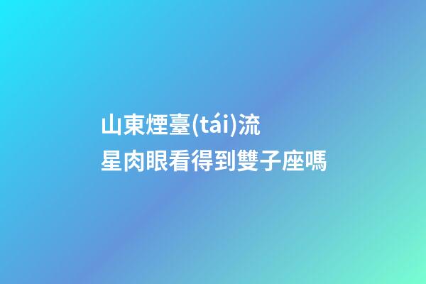 山東煙臺(tái)流星肉眼看得到雙子座嗎