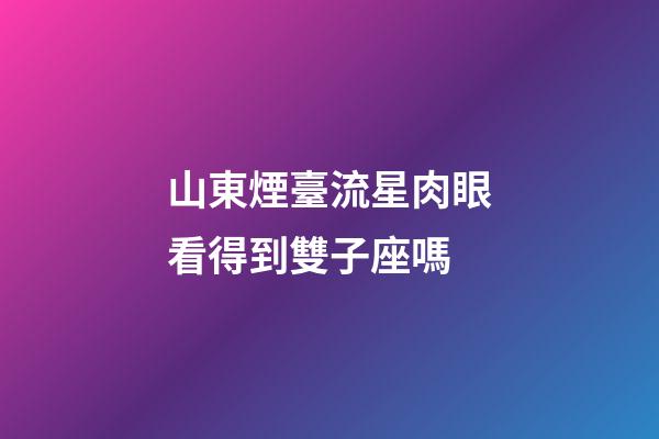 山東煙臺流星肉眼看得到雙子座嗎-第1張-星座運勢-玄機派