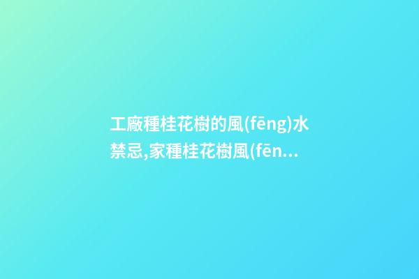 工廠種桂花樹的風(fēng)水禁忌,家種桂花樹風(fēng)水好還是不好？