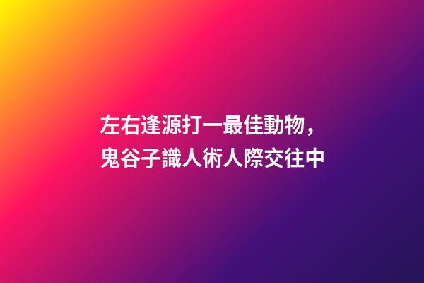 左右逢源打一最佳動物，鬼谷子識人術人際交往中