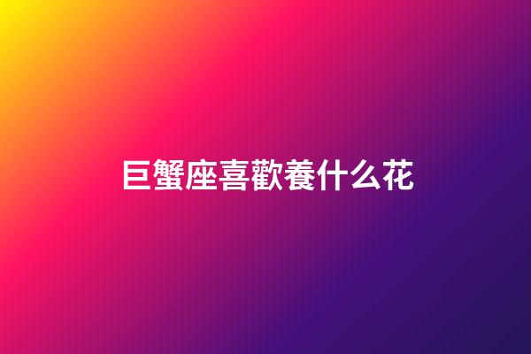 巨蟹座喜歡養什么花-第1張-星座運勢-玄機派