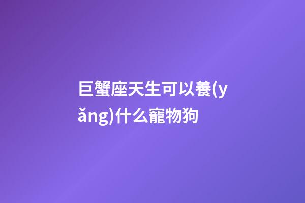 巨蟹座天生可以養(yǎng)什么寵物狗