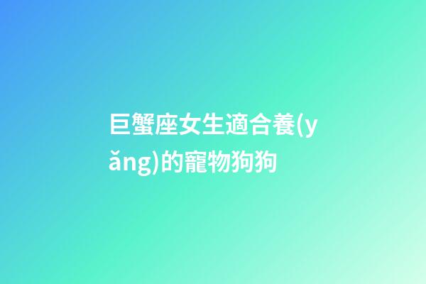 巨蟹座女生適合養(yǎng)的寵物狗狗