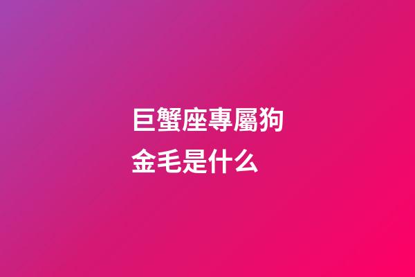 巨蟹座專屬狗金毛是什么-第1張-星座運勢-玄機派