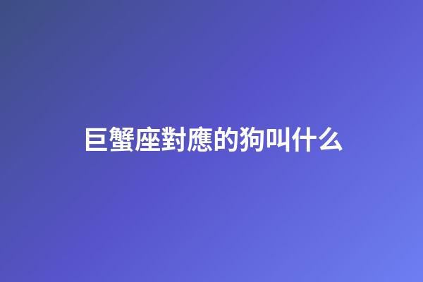 巨蟹座對應的狗叫什么-第1張-星座運勢-玄機派