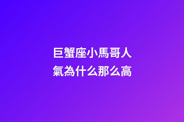 巨蟹座小馬哥人氣為什么那么高