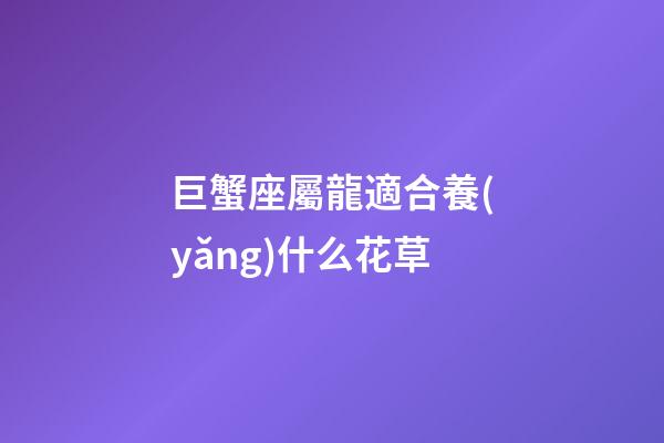 巨蟹座屬龍適合養(yǎng)什么花草-第1張-星座運(yùn)勢(shì)-玄機(jī)派