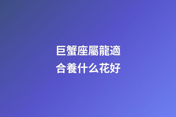 巨蟹座屬龍適合養什么花好-第1張-星座運勢-玄機派