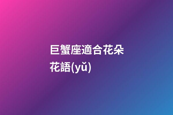 巨蟹座適合花朵花語(yǔ)