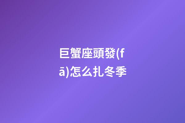 巨蟹座頭發(fā)怎么扎冬季-第1張-星座運(yùn)勢(shì)-玄機(jī)派