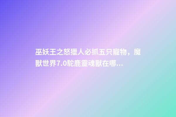 巫妖王之怒獵人必抓五只寵物，魔獸世界7.0駝鹿靈魂獸在哪刷新