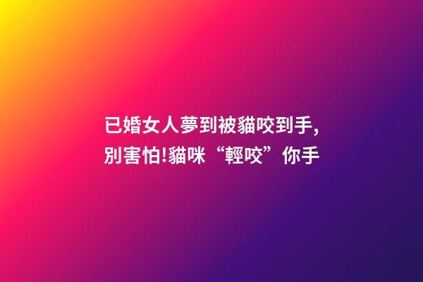 已婚女人夢到被貓咬到手,別害怕!貓咪“輕咬”你手-第1張-觀點-玄機派