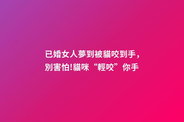 已婚女人夢到被貓咬到手，別害怕!貓咪“輕咬”你手-第1張-觀點-玄機派