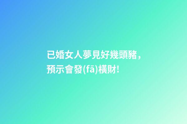 已婚女人夢見好幾頭豬，預示會發(fā)橫財!-第1張-觀點-玄機派