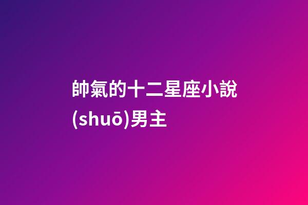 帥氣的十二星座小說(shuō)男主