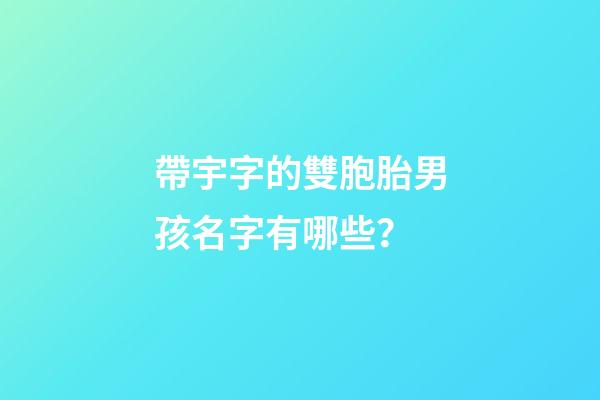 帶宇字的雙胞胎男孩名字有哪些？