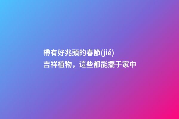 帶有好兆頭的春節(jié)吉祥植物，這些都能擺于家中