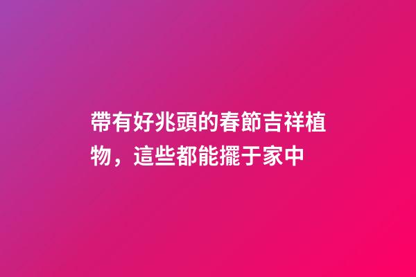 帶有好兆頭的春節吉祥植物，這些都能擺于家中