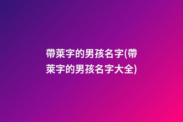 帶萊字的男孩名字(帶萊字的男孩名字大全)