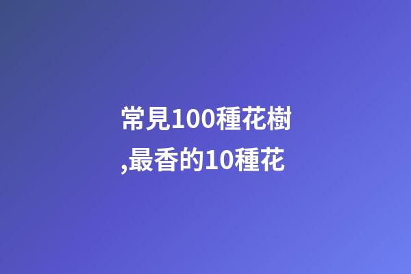 常見100種花樹,最香的10種花-第1張-觀點(diǎn)-玄機(jī)派