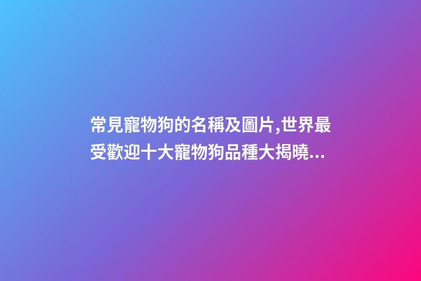 常見寵物狗的名稱及圖片,世界最受歡迎十大寵物狗品種大揭曉!-第1張-觀點-玄機派