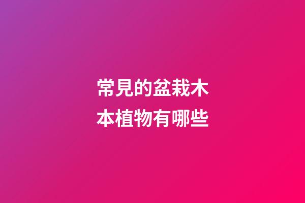常見的盆栽木本植物有哪些