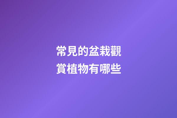 常見的盆栽觀賞植物有哪些