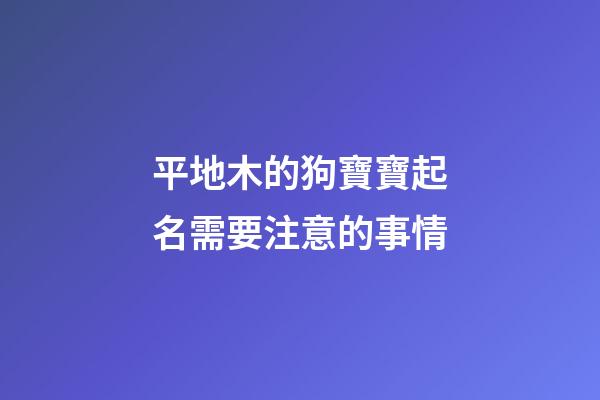 平地木的狗寶寶起名需要注意的事情